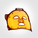LED Mask