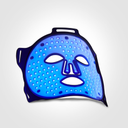 LED Mask